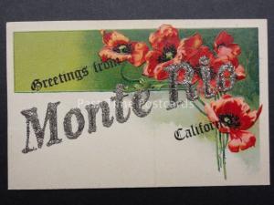 Poppies: California Embossed Glittered Souvenir from MONTE RIO, Donate to R.B.L.