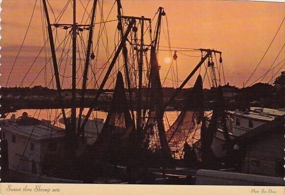 Shrimp Nets