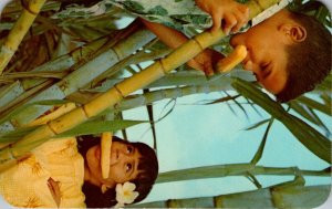 Hawaii The C & H Suger Kids In A Sugar Cane Field