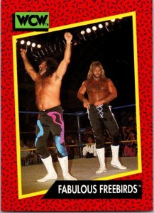 1991 WCW WRestling Card Fabulous Freebirds sk21186