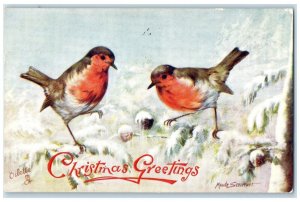 1908 Christmas Greetings Birds Winter Snow Oilette Tuck's Newark NJ Postcard