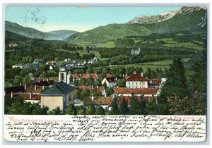 c1910 Reichenau near Payerbach Baden-Württemberg Germany Posted Antique Postcard