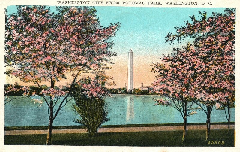 Vintage Postcard 1920's Washington City Lake Trees Potomac Park Washington D.C.