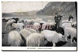 Old Postcard Folklore Lourdes Berger des Pyrenees