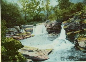 Postcard Antique View of Niobe Falls in Catskill Mountains of NY.             Q8