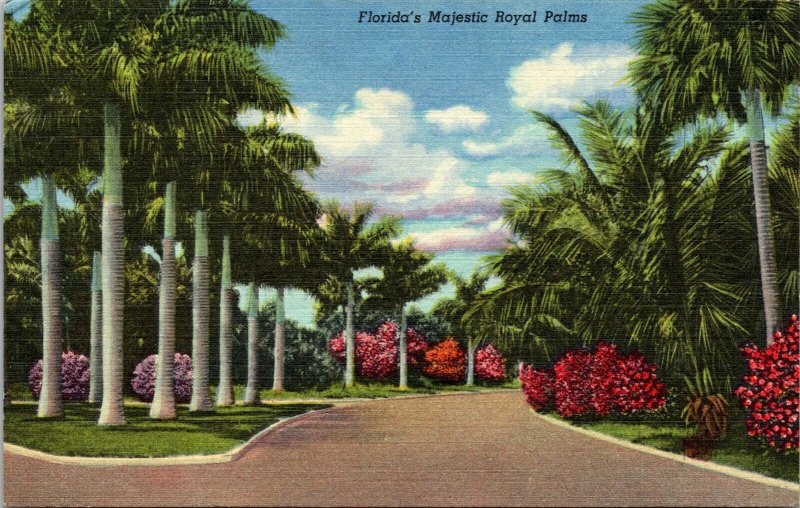 Floridas Majestic Royal Palms Linen Fruit Flower Winter Garden Palm Pm Postcard