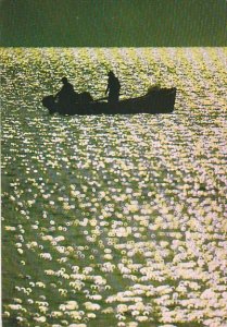 Israel Fishing Boat On The Sea Of Galilee