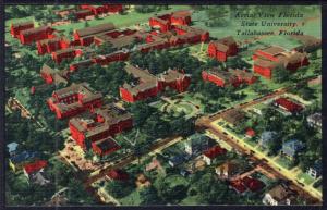 Bird's Eye View,Florida State University,Tallahasee,FL