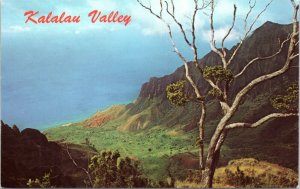 Postcard HI Kauai Kalalau Valley