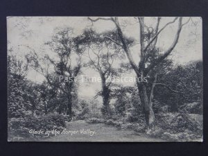 Somerset GLADE IN THE HORNER VALLEY Cloutsham c1903 Postcard by Montague Cooper