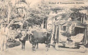 METHOD OF TRANSPORTATION MADEIRA OXEN CART POSTCARD (c. 1910)