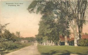 Albertype 1923 Fryeburg Maine Roosevelt Trail Through hand colored Ladd 2736