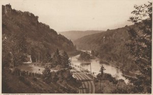 Herefordshire Postcard - Three County View, Symonds Yat   RS22873