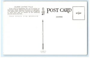 Salmon Leaping Falls Ketchikan AK Alaska Postcard (ED3)