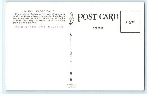 Salmon Leaping Falls Ketchikan AK Alaska Postcard (ED3)