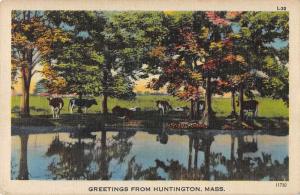 Huntington Massachusetts Greetings Cows by River Vintage Postcard JC627920