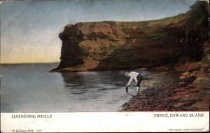 Prince Edward Island Gatherin Shells on Shore c1910 Vintage Postcard