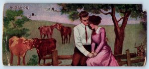 1910 Contagion Romance Sweet Couple Animals Farm Bookmark Antique Postcard
