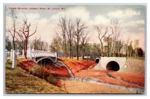 Three Bridges Forest Park St Louis Missouri MO UNP DB Postcard P20