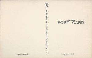 Mead Hall, Drew University, Madison, New Jersey, Early Postcard, Unused