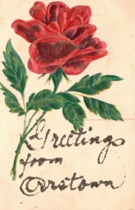 Vintage Postcard 1910's Greetings From Carstown Beautiful Flower Red Rose Blooms