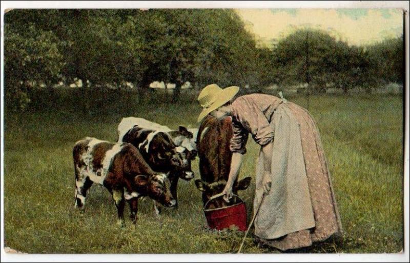 Cow and Twin Calves