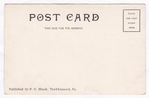 1901-06 View From Upper Part of Tunkhannock PA River Train RR Railroad Postcard