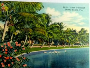 Vintage Postcard DL 20 Lake Pancoast Palm Trees Miami Beach FL Florida 