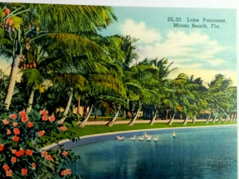 Vintage Postcard DL 20 Lake Pancoast Palm Trees Miami Beach FL Florida 