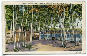 White Birch Trees State Camping Grounds Tupper Lake New York 1934 linen postcard