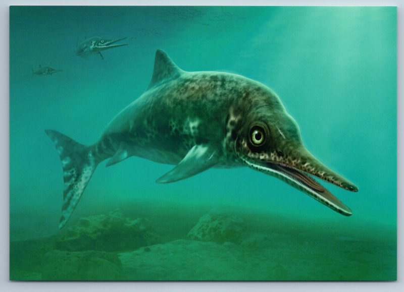 STENOPTERYGIUS DINOSAUR Prehistoric animal Fish Underwater Russian New Postcard