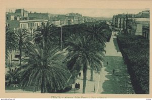 TUNIS , Tunisia , 1910s ; Avenue Jules Ferry