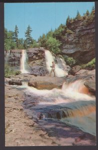 West Virginia Blackwater Falls located gorge Blackwater, Canaan Valley ~ Chrome