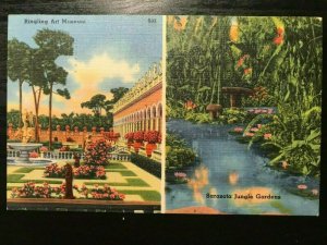 Vintage Postcard 1960 Ringling Museum Sarasota Jungle Gardens Florida (FL)