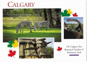 Calgary Zoo and Botanical Gardens Calgary Alberta Canada 4 by 6 size