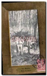 Old Postcard Ter Meulen In Foret horse hitch gathering wood in the forest