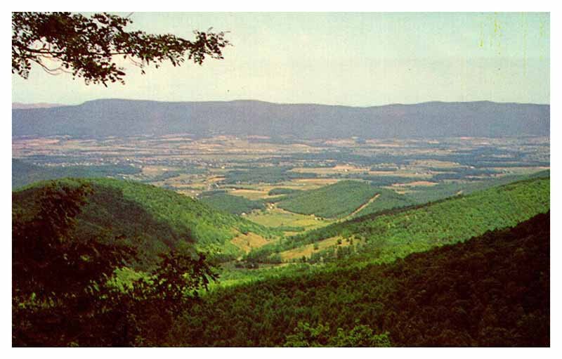 POSTCARD SCENE Shenandoah National Park Virginia VA AQ5289