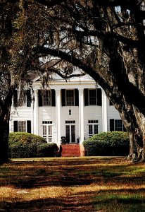 South Carolina Jacksonboro Hope Plantation