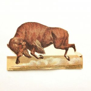 1880s-90s Bull in Motion Brown Running Trade Card