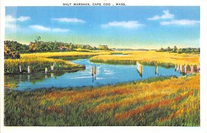 Salt Marshes Swan River, Dennisport - Cape Cod, Massachusetts MA