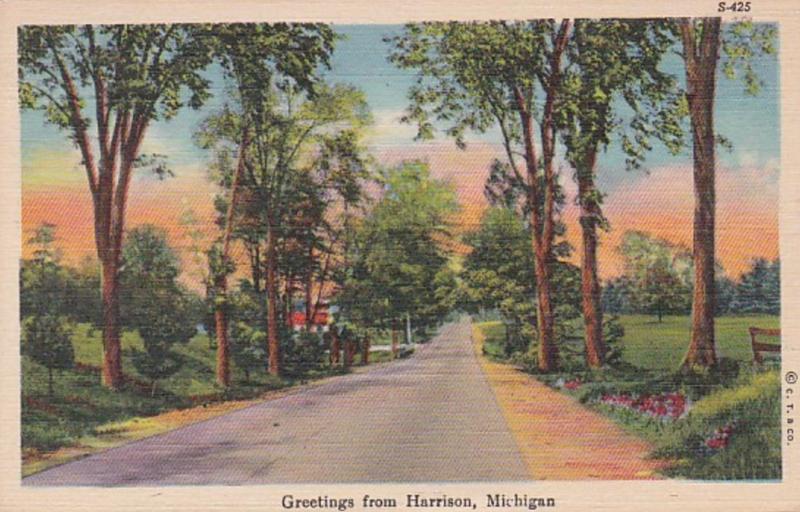 Michigan Greetings From Harrison 1948 Curteich