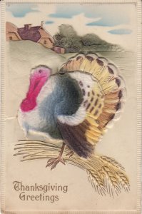 Very embossed Thanksgiving Day drawn Turkey vintage greetings postcard