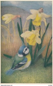 AS: Heda Armour , Bluelit & Daffodils , 1940-50s