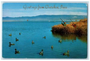 c1960's Greetings From Cherokee Iowa IA Unposted Hunting Ducks Scene Postcard