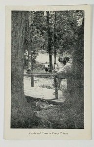 Ohio Youth and Trees at Camp Clifton Postcard F18