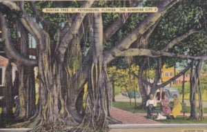 Florida St Petersburg The Banyan Tree 1939