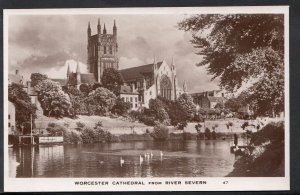 Worcestershire Postcard - Worcester Cathedral From River Severn    RT1992