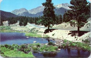 Postcard CO Beaver Dams in Hidden Valley on Trail Ridge Road Estes Park