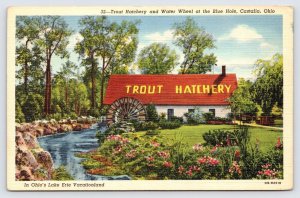 Trout Hatchery & Water Wheel at Blue Hole, Castalia Ohio Linen Postcard  P1