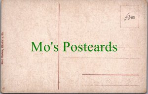 Germany Postcard - Pfalzgrafenstein Castle, Palatinate Near Kaub  SW12085